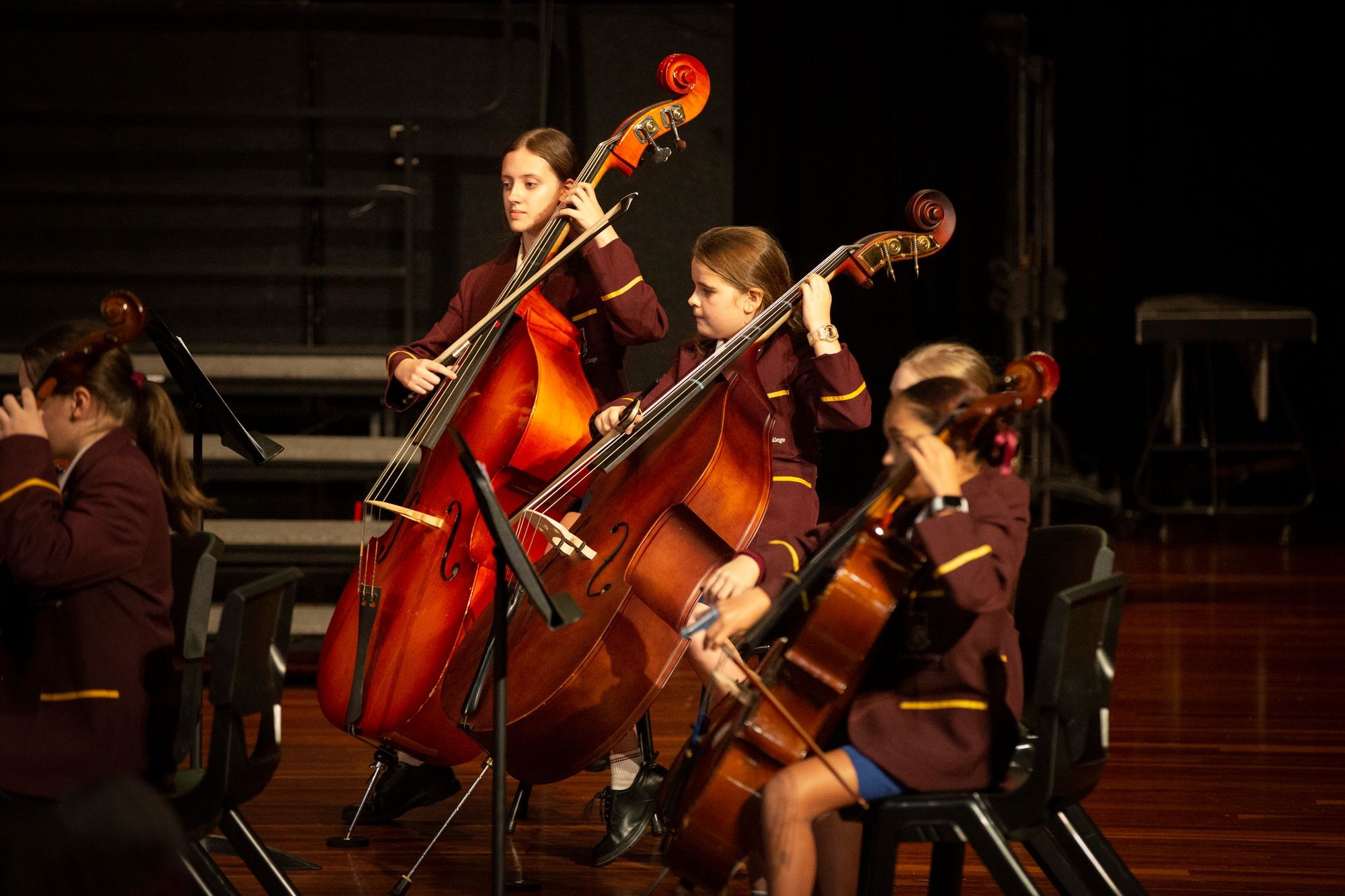 444482368_942825954519460_8970988313606541181_n