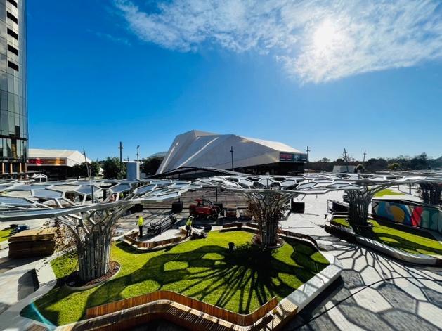 一張含有 天空, 草, 戶外, 樹狀 的圖片
自動產生的描述