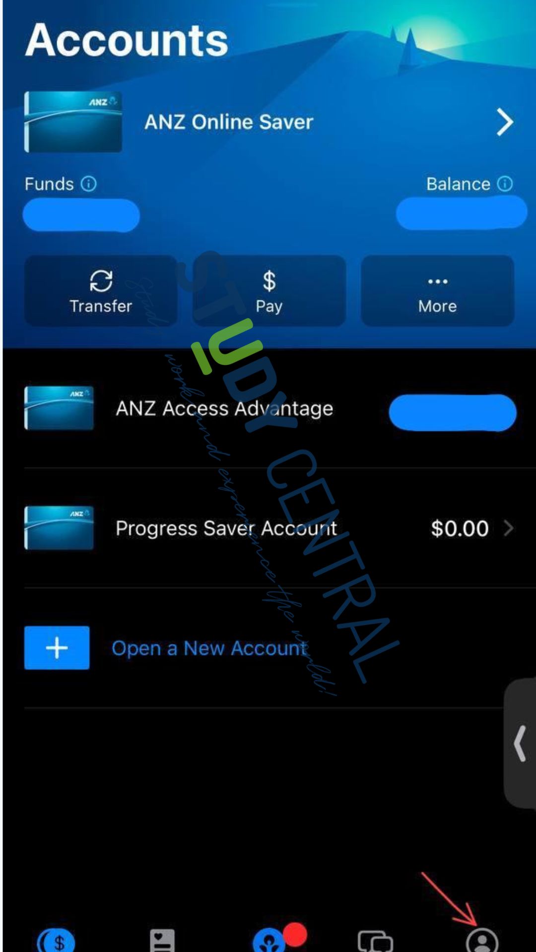 ANZ 網銀介面示意圖